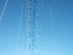 C[