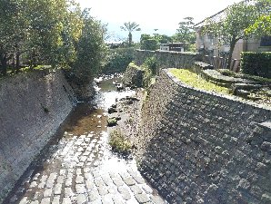 三面バリ