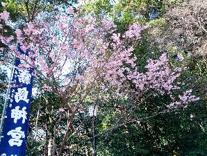 霧島神社